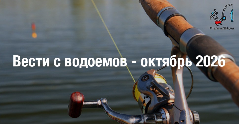 Рыбалка на Оби