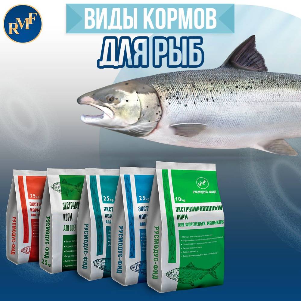 Вуокса