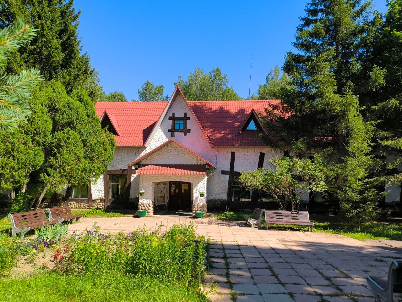 Подсолнухи