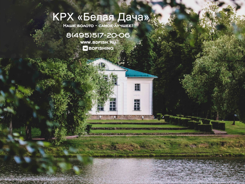 Белая Дача (рыбалка)
