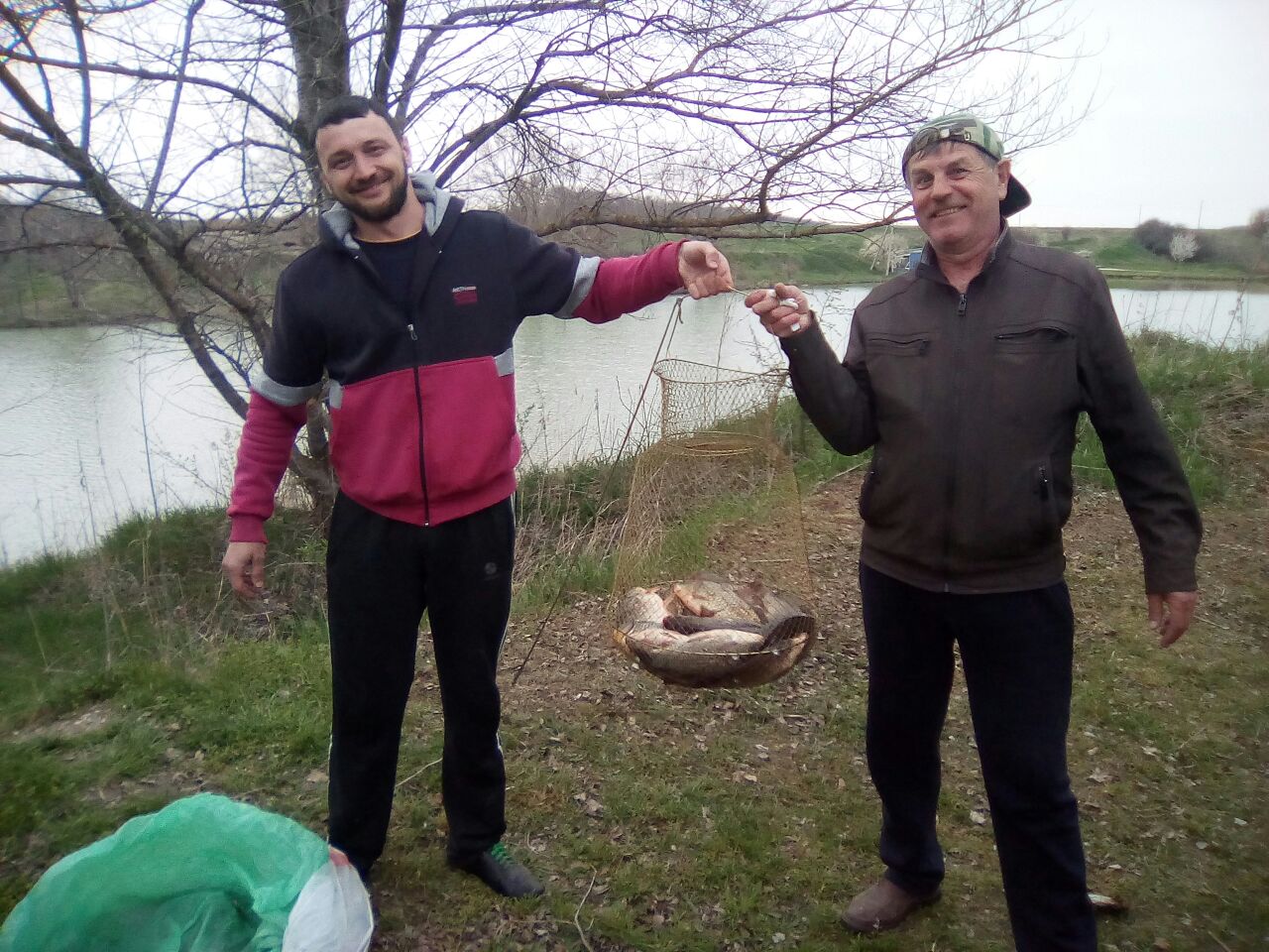 Веселая Акула